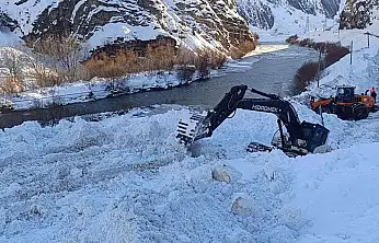 Çığ nedeniyle kapanan Hakkari-Van kara yolu açıldı
