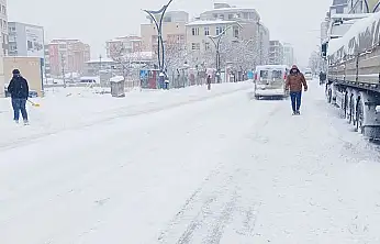 Kar Van'ı esir aldı: Yollar kapandı, ulaşım felç oldu