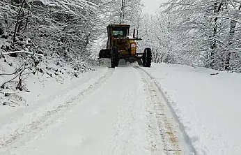 Kar Van'ı yeniden esir aldı! 143 yol ulaşıma kapandı
