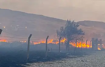 Son Dakika: Van Ayanıs'ta yangın