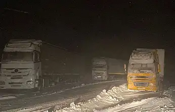 Van- Ağrı karayolu trafiğe kapatıldı