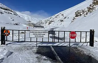 Van-Bahçesaray kara yolu kar ve tipi nedeniyle ulaşıma kapatıldı