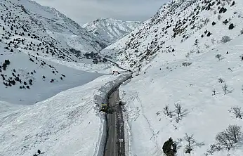Van-Çatak yolu trafiğe kapatıldı