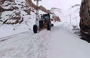 Van'da 102 yerleşim yerinin yolu ulaşıma kapandı