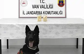 Van'da İranlı şahıstan 510 gram eroin çıktı