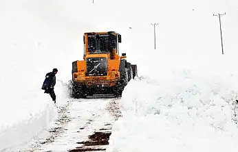 Van'da kış çilesi: 77 mahalle yolu kapandı