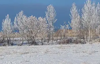 Van'da Sibirya soğukları hayatı olumsuz etkiliyor
