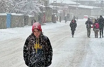 Van'da yarın okullar tatil edildi!