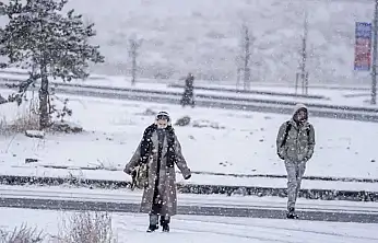 Van için iki önemli uyarı!