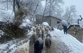 Van'ın Bahçesaray ilçesinde kar etkili oldu