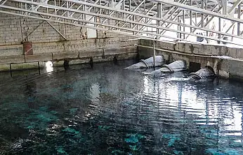 Van'ın içme suyu kaynağında alarm! Ciddi azalma var…