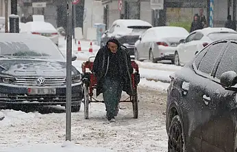 Van yağan kardan olumsuz etkileniyor