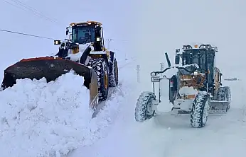 Yoğun kar Van'ı vurdu: 389 köy yolu kapalı, ekipler teyakkuzda