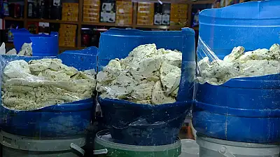 Van'ın vazgeçilmez lezzeti otlu peynirde büyük tehlike!