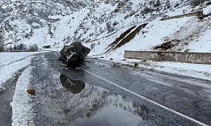 Van-Çatak karayoluna kaya düştü