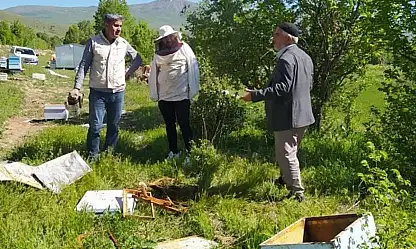Van'da ayılar kovanları parçaladı!