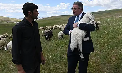 Van'da proje kapsamında 235 bin koyun dağıtıldı