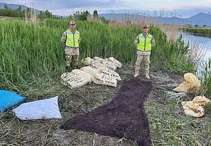 Van'da 3 ton kaçak avlanmış inci kefali ele geçirildi