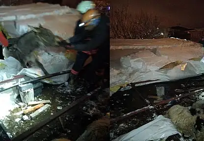 Van'da ahır çöktü: 5 küçükbaş hayvan telef oldu