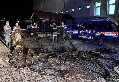 Van'da kaçak avlanan 1 ton inci kefali suya geri bırakıldı