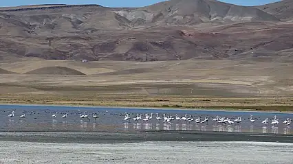 Erçek Gölü'nün kıyılarındaki çekilme arttı