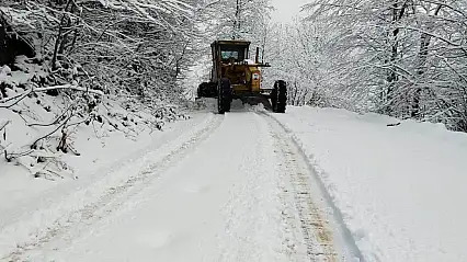 Kar Van'ı yeniden esir aldı! 143 yol ulaşıma kapandı