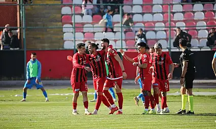 PFDK Vanspor kararını açıkladı