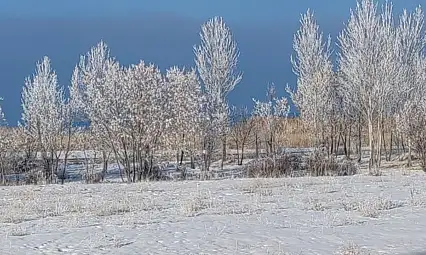Van'da Sibirya soğukları hayatı olumsuz etkiliyor