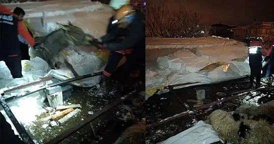 Van'da ahır çöktü: 5 küçükbaş hayvan telef oldu