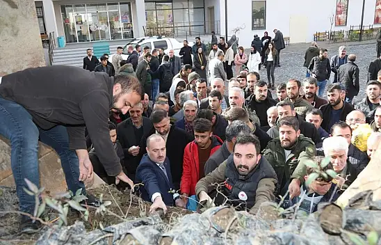 Başkale'de 10 bin badem ve ceviz fidanı dağıtıldı