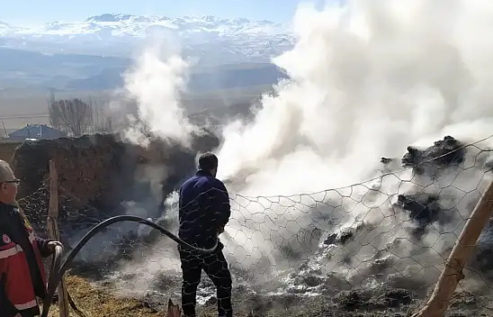 Başkale'de yangın: 3 bin 500 bağ ot kül oldu