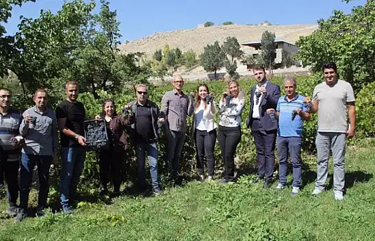 Erciş üzümü denetimden geçti