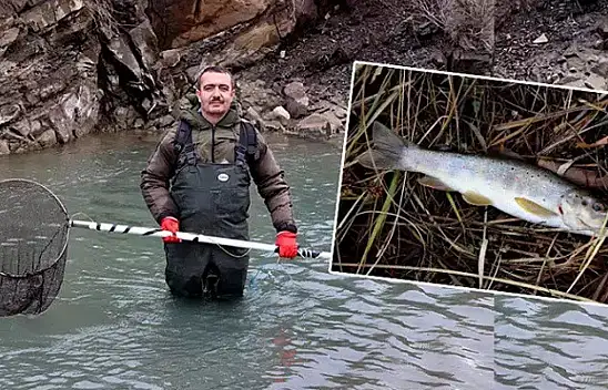 Kırmızı benekli alabalıkların nesli tehlike altında