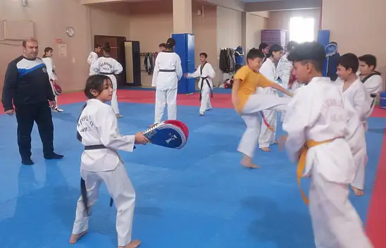 Taekwondo Van'da zirveye koşuyor
