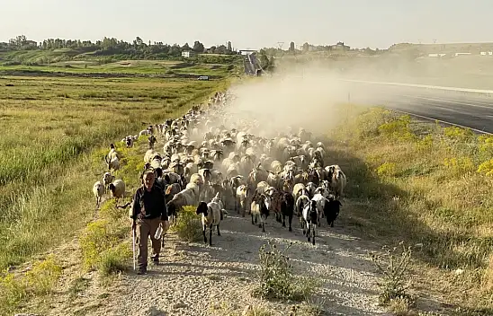 Van'a büyük katkı sağlayacak proje