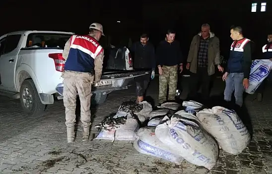 Van'da 1.8 ton kaçak avlanılan inci kefali ele geçirildi