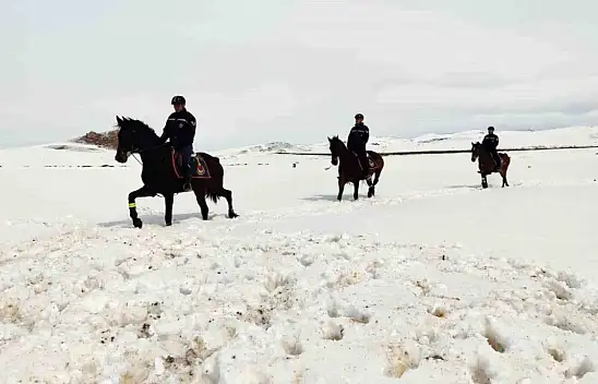 Van'da 108 düzensiz göçmen yakalandı
