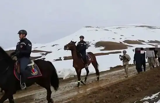 Van'da 199 düzensiz göçmen yakalandı