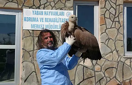 Van'da 210 yaban hayvanı doğaya geri döndü
