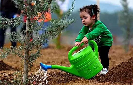 Van'da ağaç dikimi etkinliği düzenlenecek!