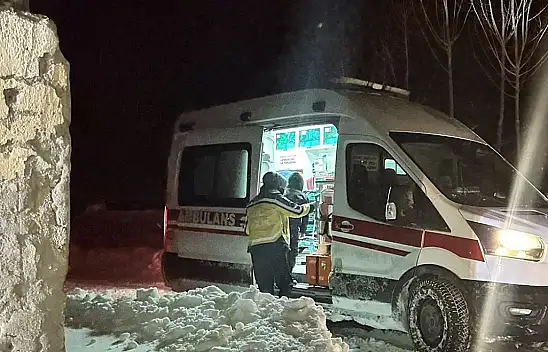 Van'da anne ve oğlu sobadan zehirlendi