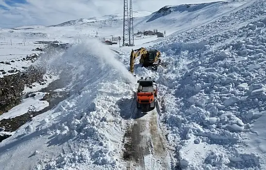 Van'da çığ nedeniyle kapanan yol açıldı