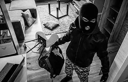 Van'da evlere girip altın çalan hırsızlar yakalandı!