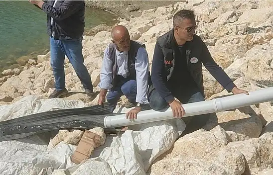 Van'da göllere 1 milyon 800 bin balık bırakıldı