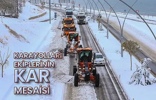 Van'da kar mesaisi başladı