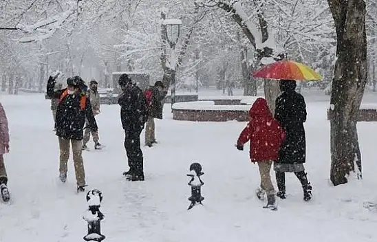 Van'da okullar tatil mi? 18 Aralık 2023