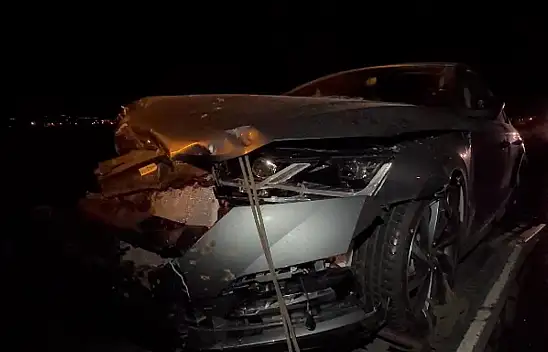 Van'da otomobilin çarptığı koyunlar telef oldu