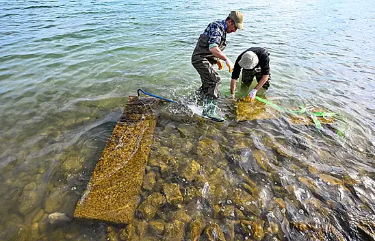 Van Gölü'ndeki Selçuklu Mezar Taşları Koruma Altına Alındı
