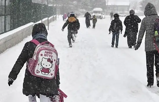 Van'ın 4 ilçesinde okullar tatil!