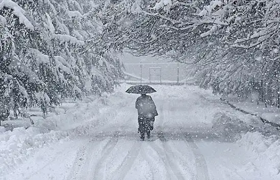 Van Valiliği'nden kuvvetli kar yağışı uyarısı!